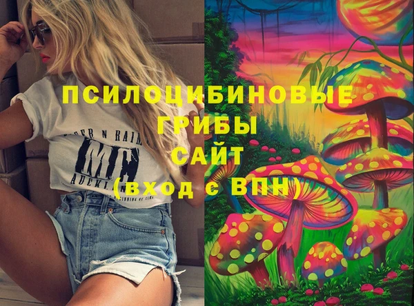 apvp Богородицк