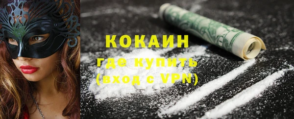 apvp Богородицк