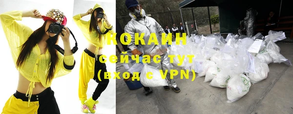 молекула духа Бронницы