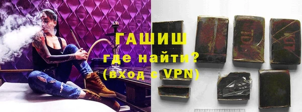 дживик Бородино